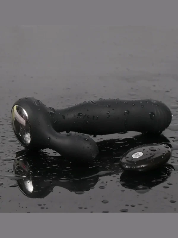 Remote Control Anal Plug-in - Image 13